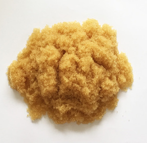 朗盛离子交换树脂的装填方法