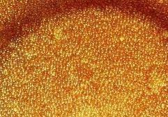 漂莱特软化树脂可以分为什么